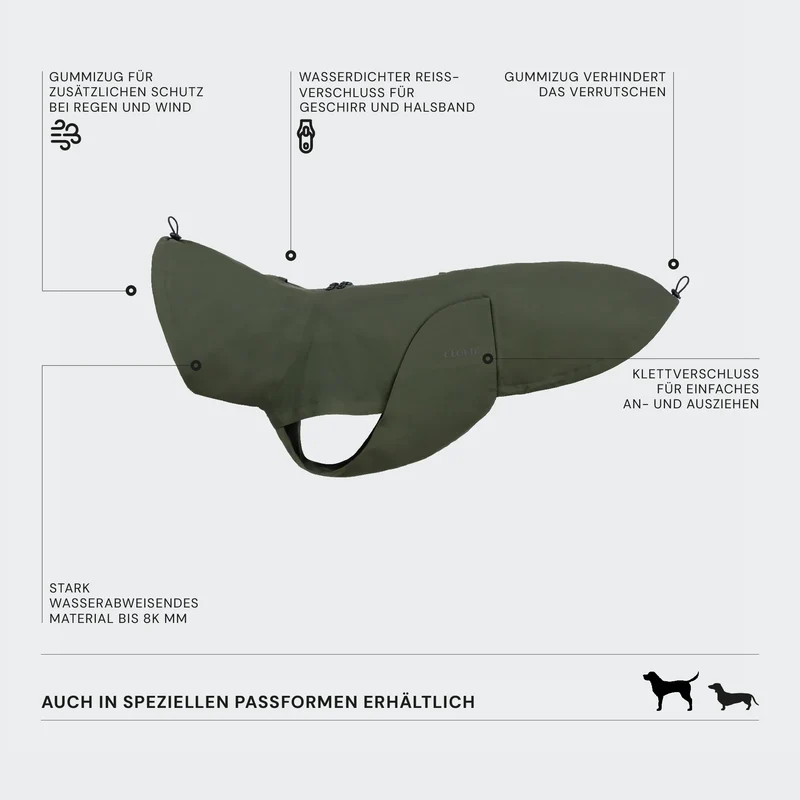 Hunderegenmantel Dackel Dublin 2.0 Dark Olive
