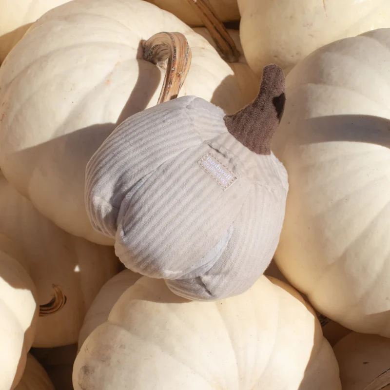 Schnüffelspielzeug BOO Kürbis
