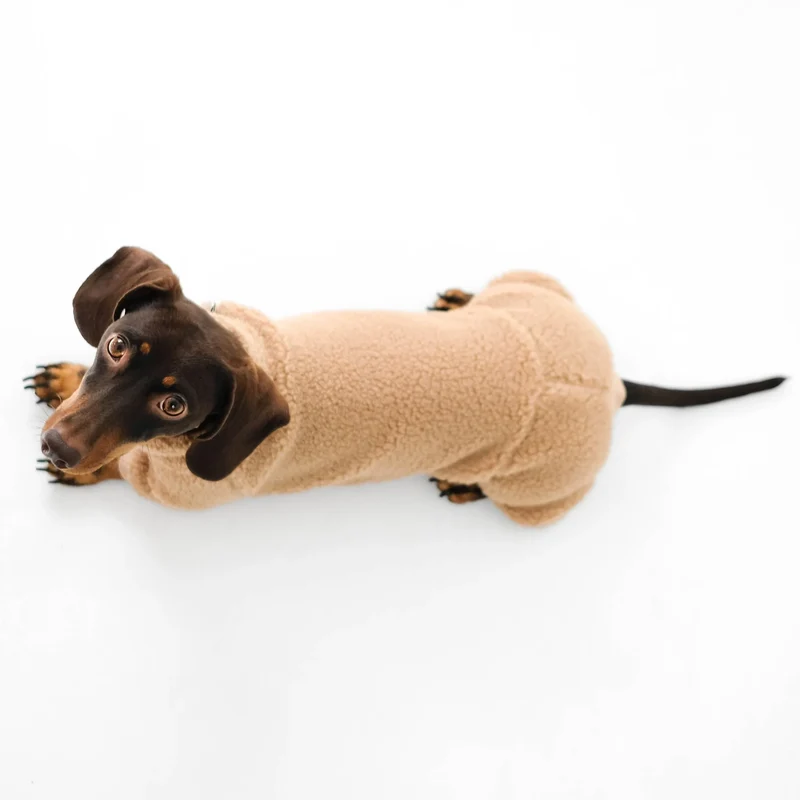 TEDDY Overall für Dackel Sand Beige