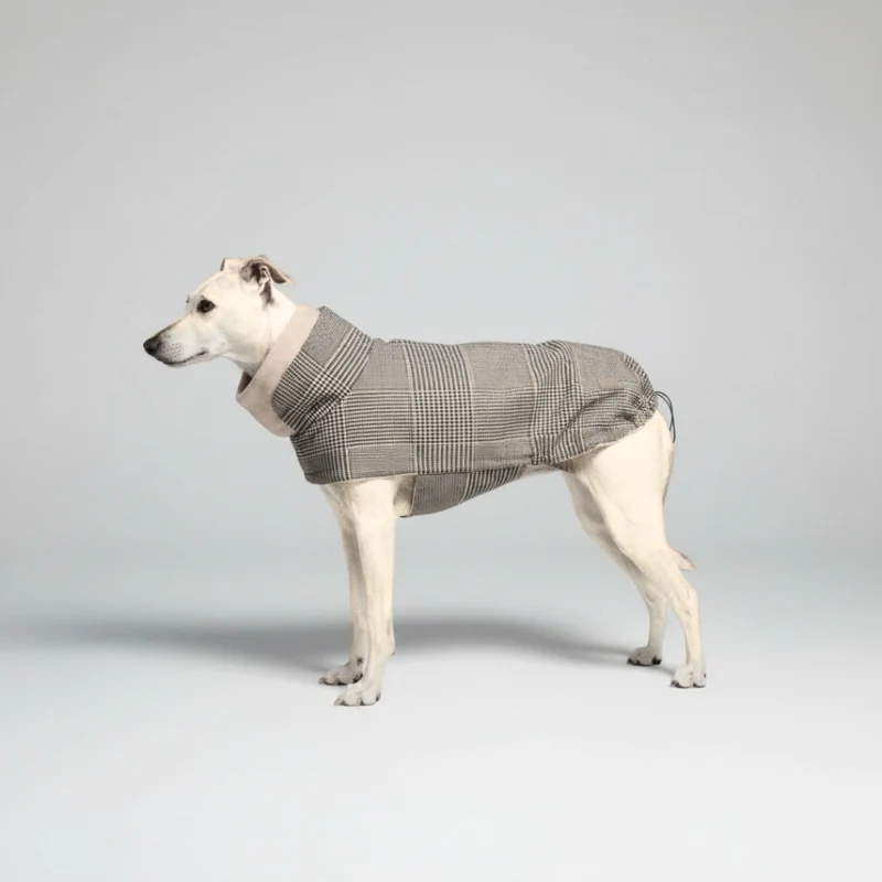 Hundemantel Brooklyn SHERLOCK C7 x Woofstuff
