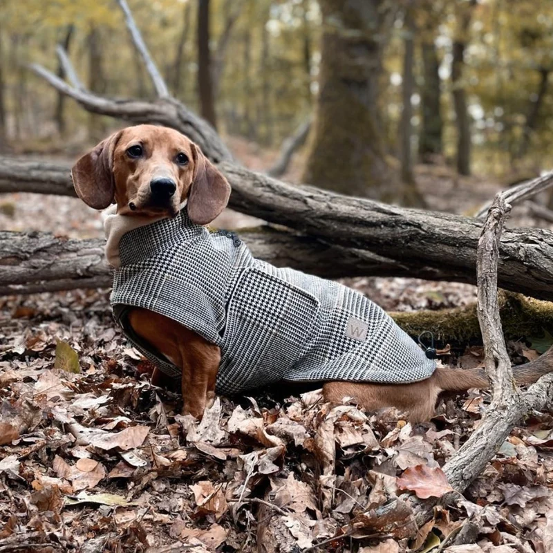 Hundemantel Brooklyn SHERLOCK DACKEL C7 x Woofstuff