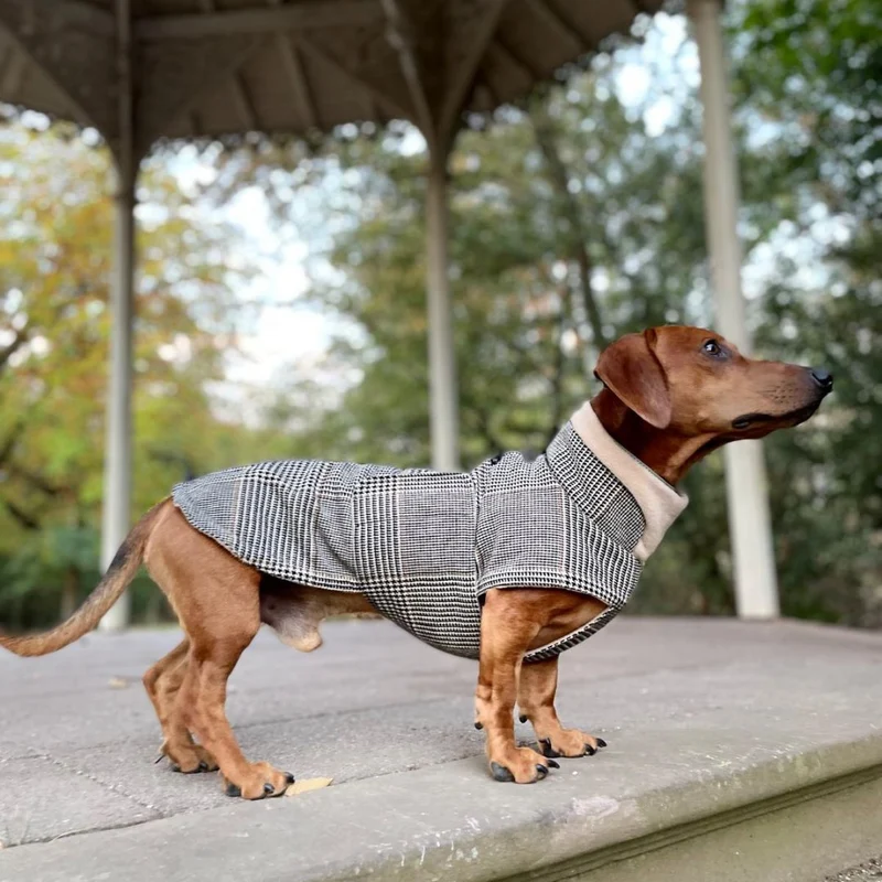 Hundemantel Brooklyn SHERLOCK DACKEL C7 x Woofstuff