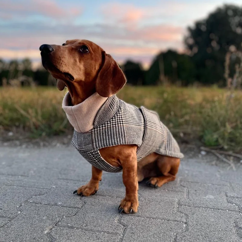 Hundemantel Brooklyn SHERLOCK DACKEL C7 x Woofstuff