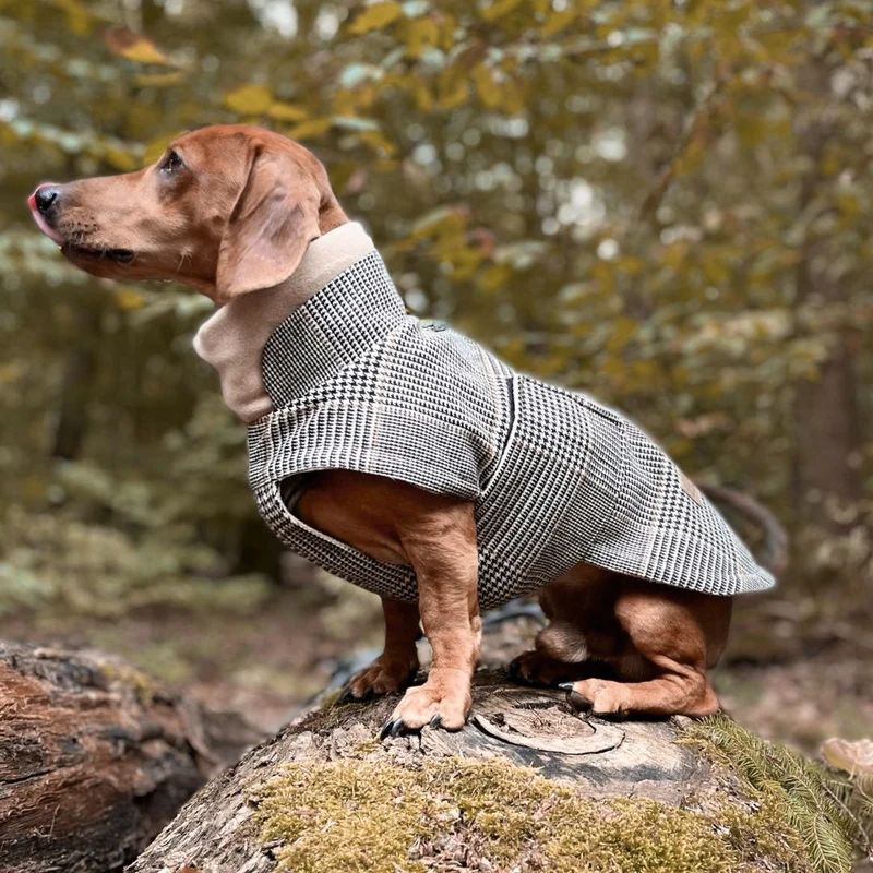 Hundemantel Brooklyn SHERLOCK DACKEL C7 x Woofstuff