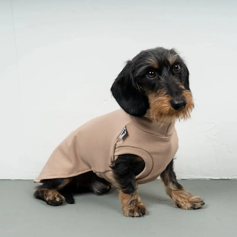 Cotton Shirt für Dackel Puder Beige