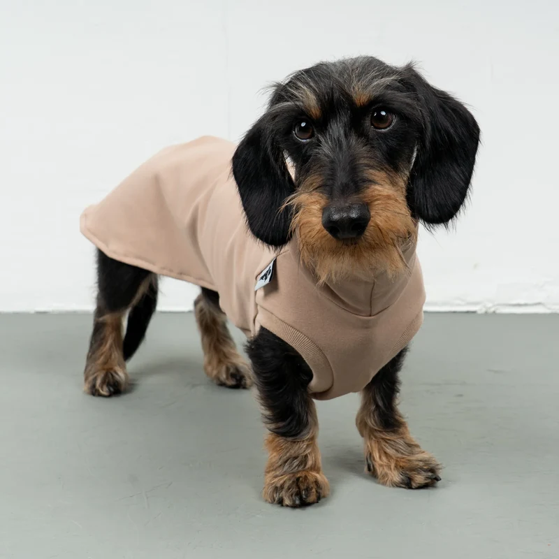Cotton Shirt für Dackel Puder Beige