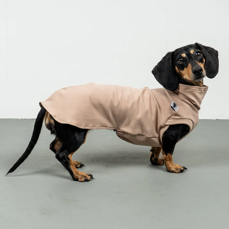 Cotton Shirt für Dackel Puder Beige