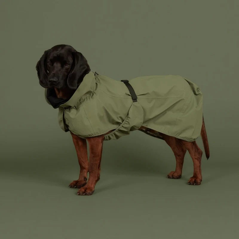 Reflektierender Hunderegenmantel Shell Jacket Green