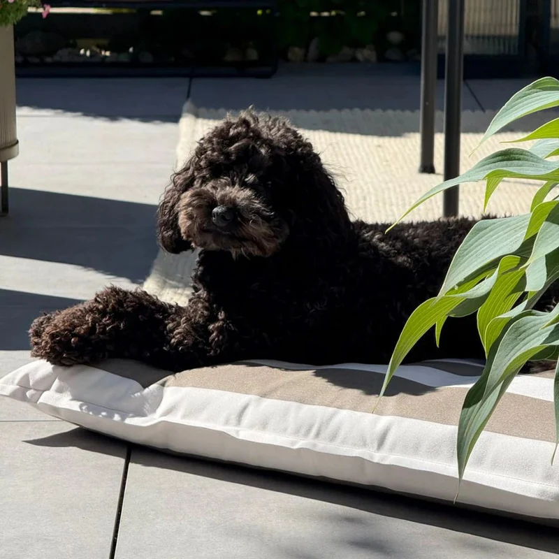 Giardino Hundekissen Off-White/Taupe