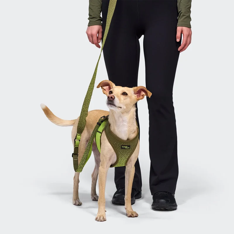 V-3 Westengeschirr AKTIV Knit Khaki/Neon Green