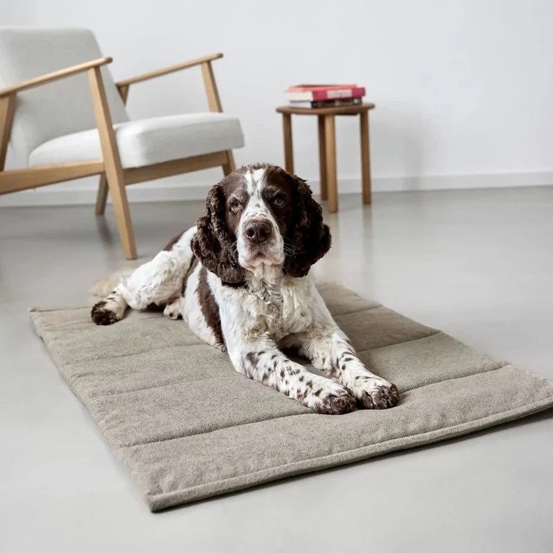 Hundematte Alma Greige