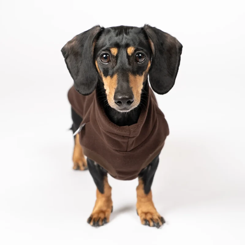 Fleece Shirt für Dackel Dunkelbraun