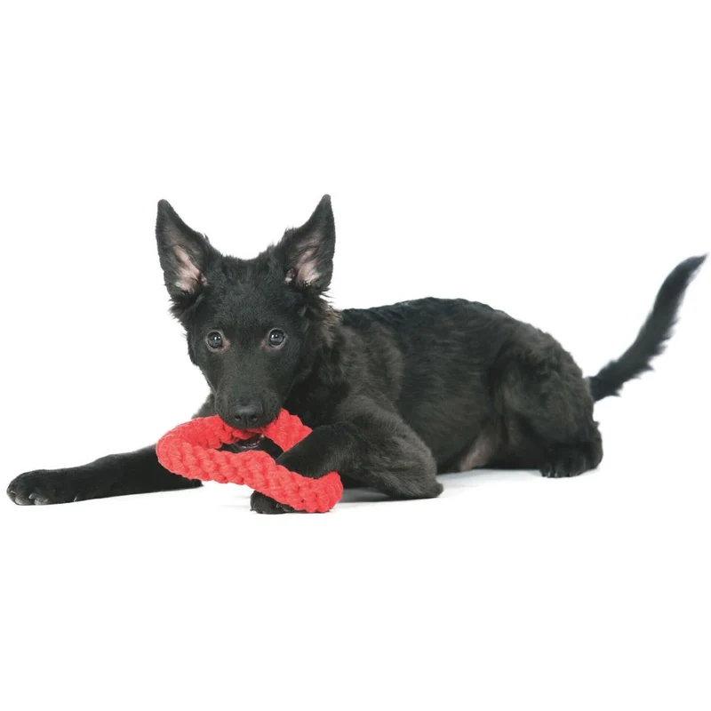 Hundespielzeug Mini Heart