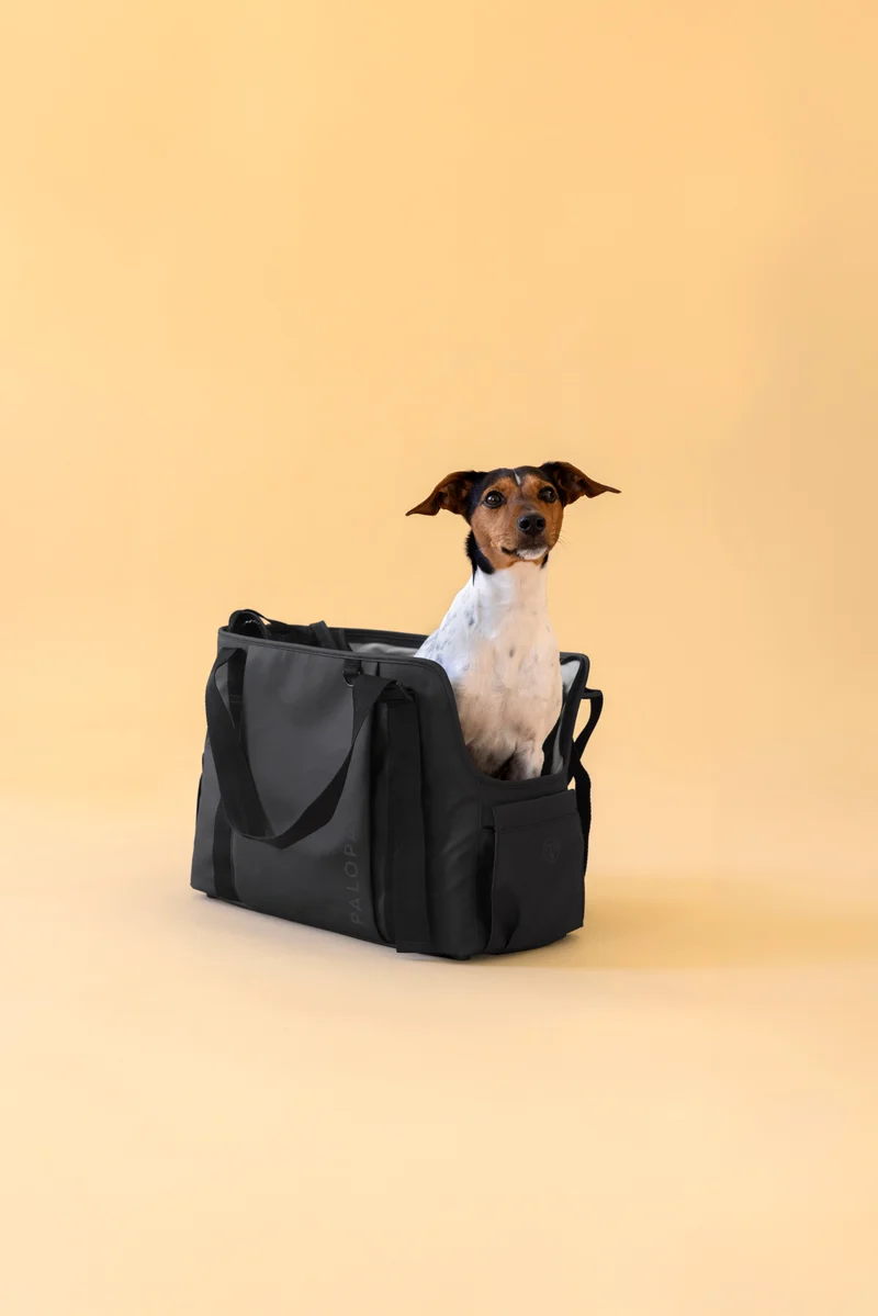 Hundetragetasche Weda Schwarz