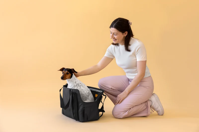 Hundetragetasche Weda Schwarz