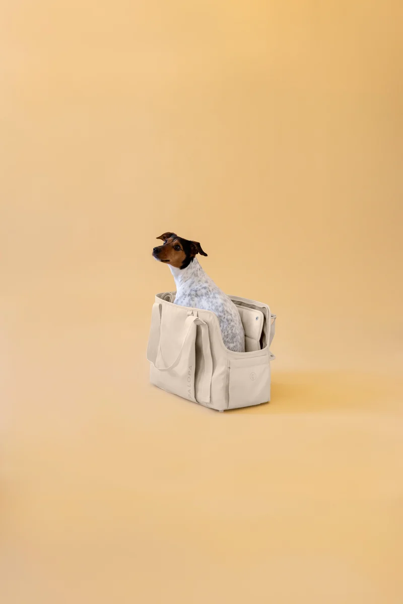 Hundetragetasche Weda Creme