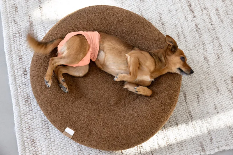 Bundle: 2 Läufigkeitshose & Hundewindel Glan Peach