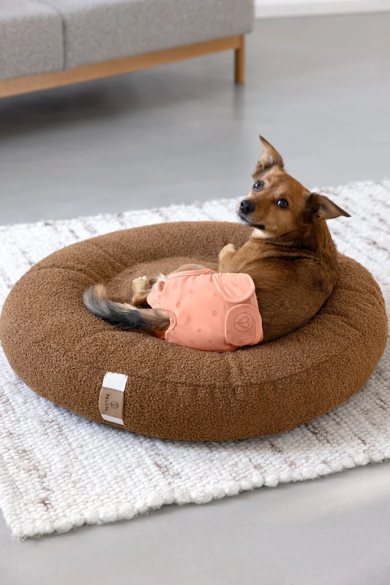 Bundle: 2 Läufigkeitshose & Hundewindel Glan Peach