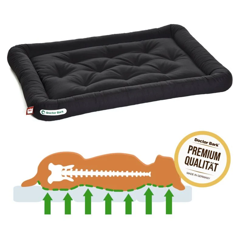 Orthopädisches Lounge Kissen Schwarz