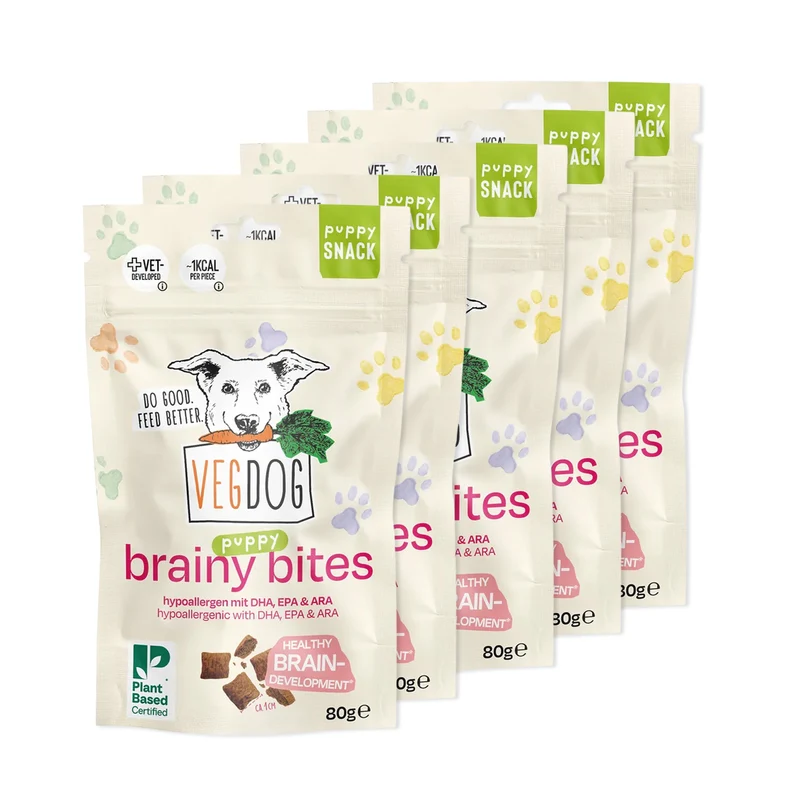 Bundle: 5 Brainy Bites