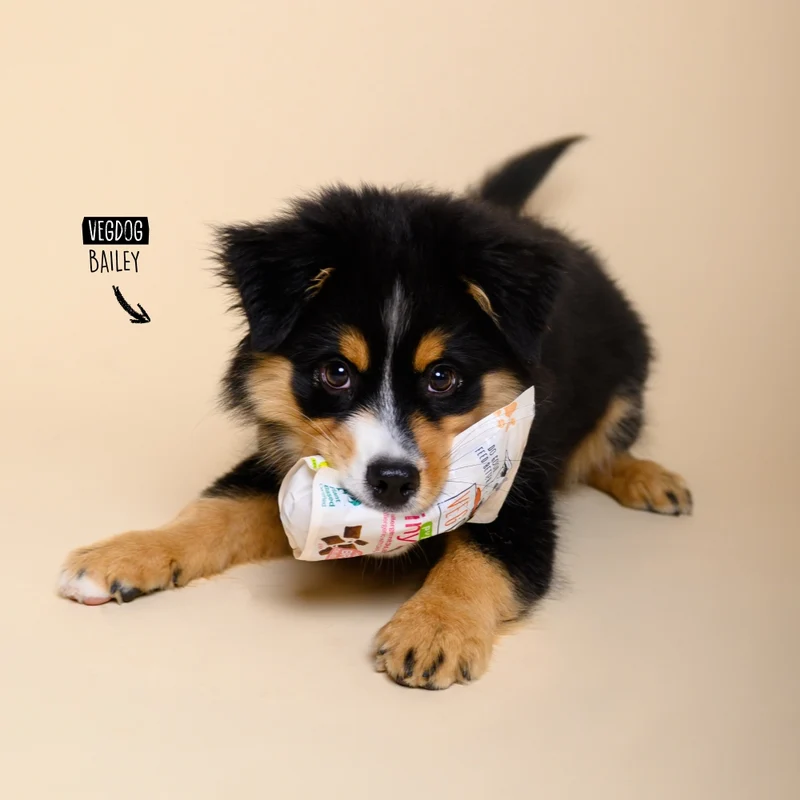 Bundle: 5 Brainy Bites