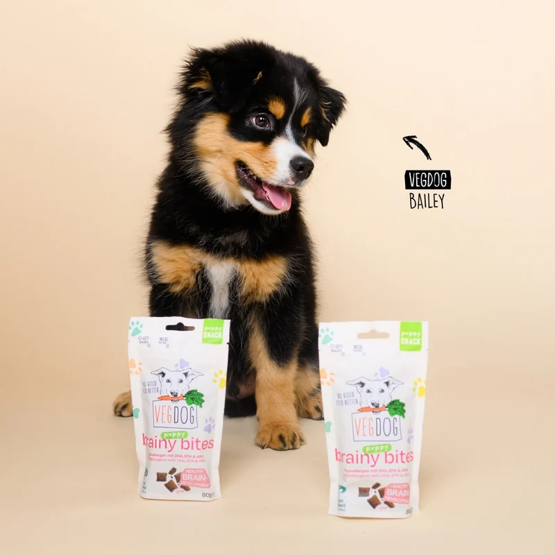 Bundle: 5 Brainy Bites