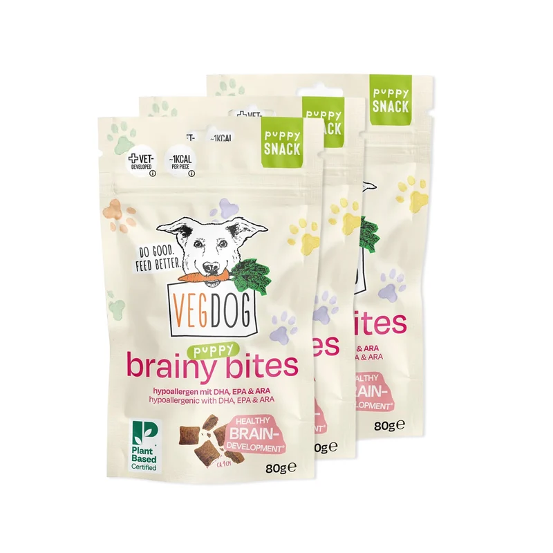 Bundle: 3 Brainy Bites