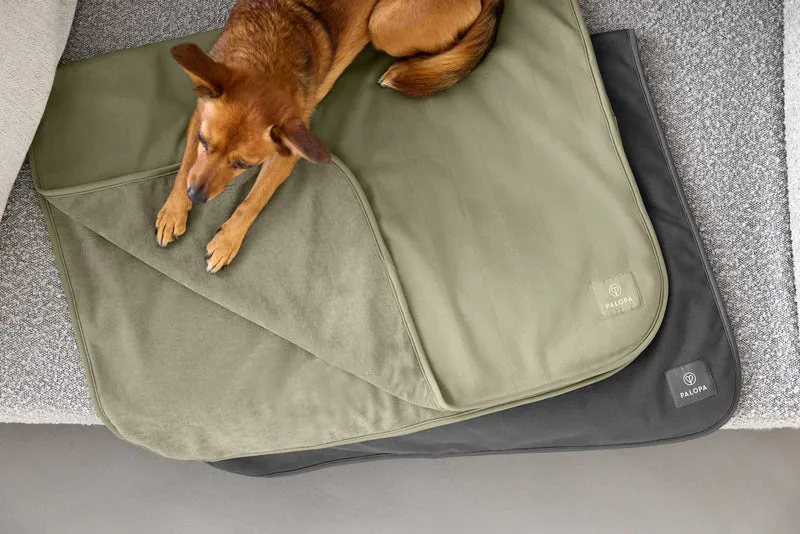 Hunde Schmutzfangmatte Benti Grün
