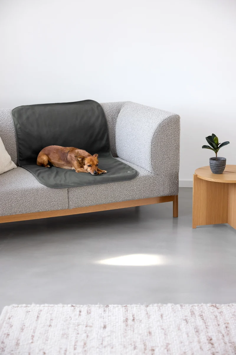 Hunde Schmutzfangmatte Benti Anthrazit