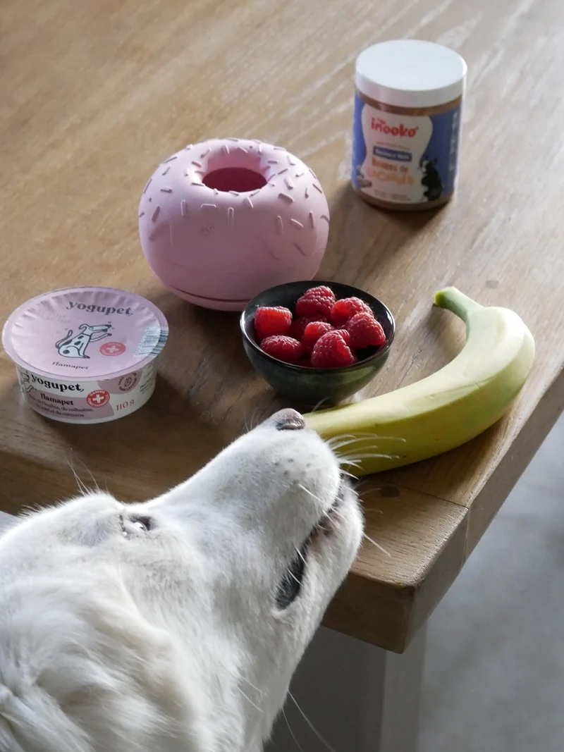 Yoomy Donut Beschäftigungsspielzeug Rosa