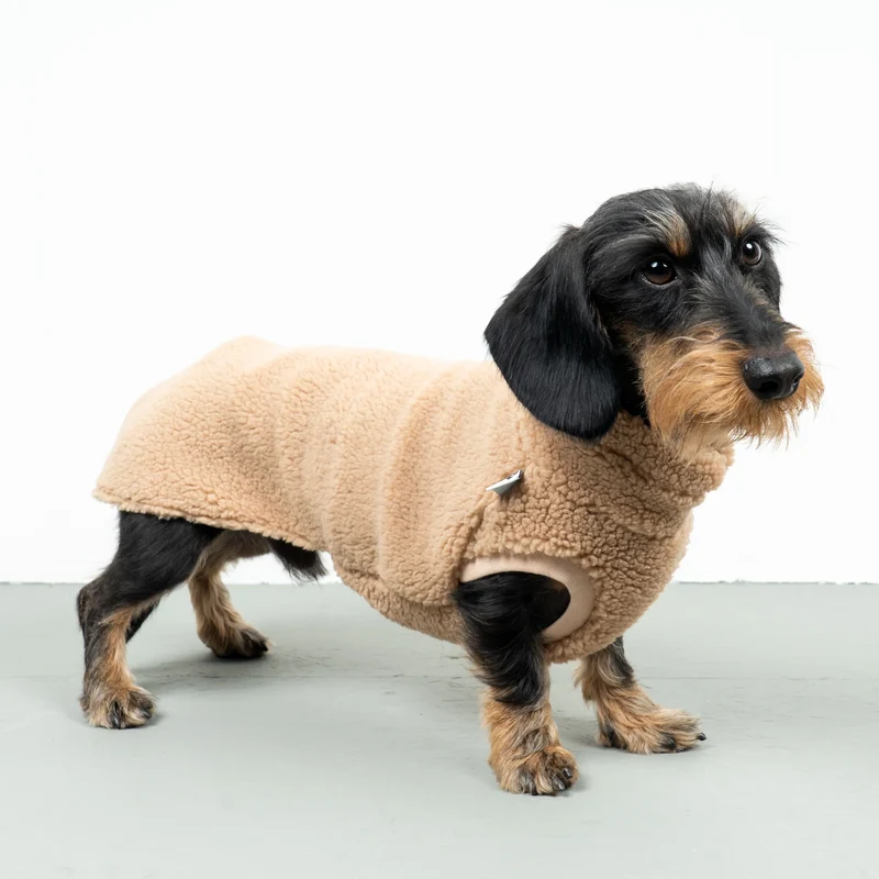 Teddy Shirt für Dackel Sand Beige