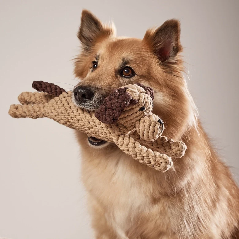 Hundespielzeug Doggy Dog