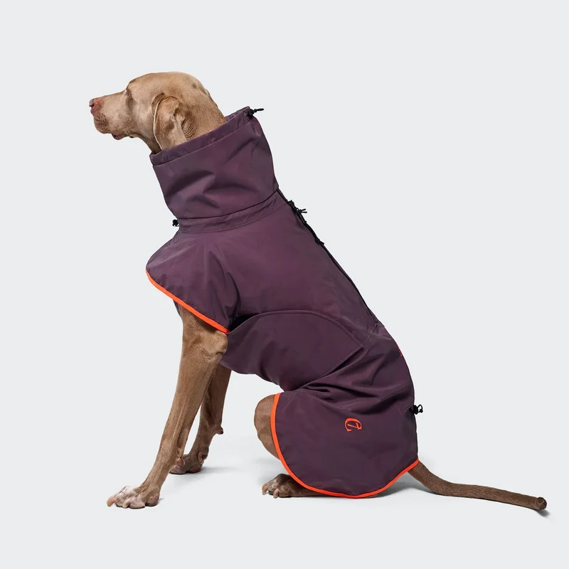 Hunderegenmantel AKTIV Aubergine/Orange