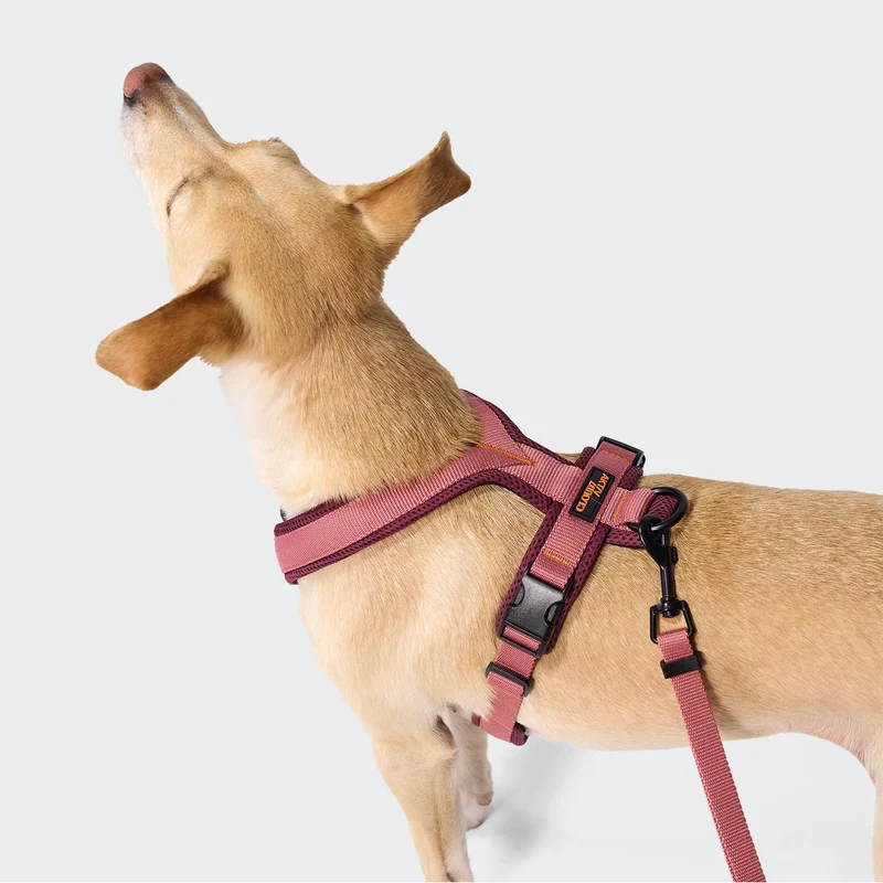 Y-1 Hundegeschirr AKTIV Air-Mesh Aubergine/Soft Rose