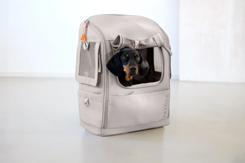 Hundetragerucksack Kari Taupe