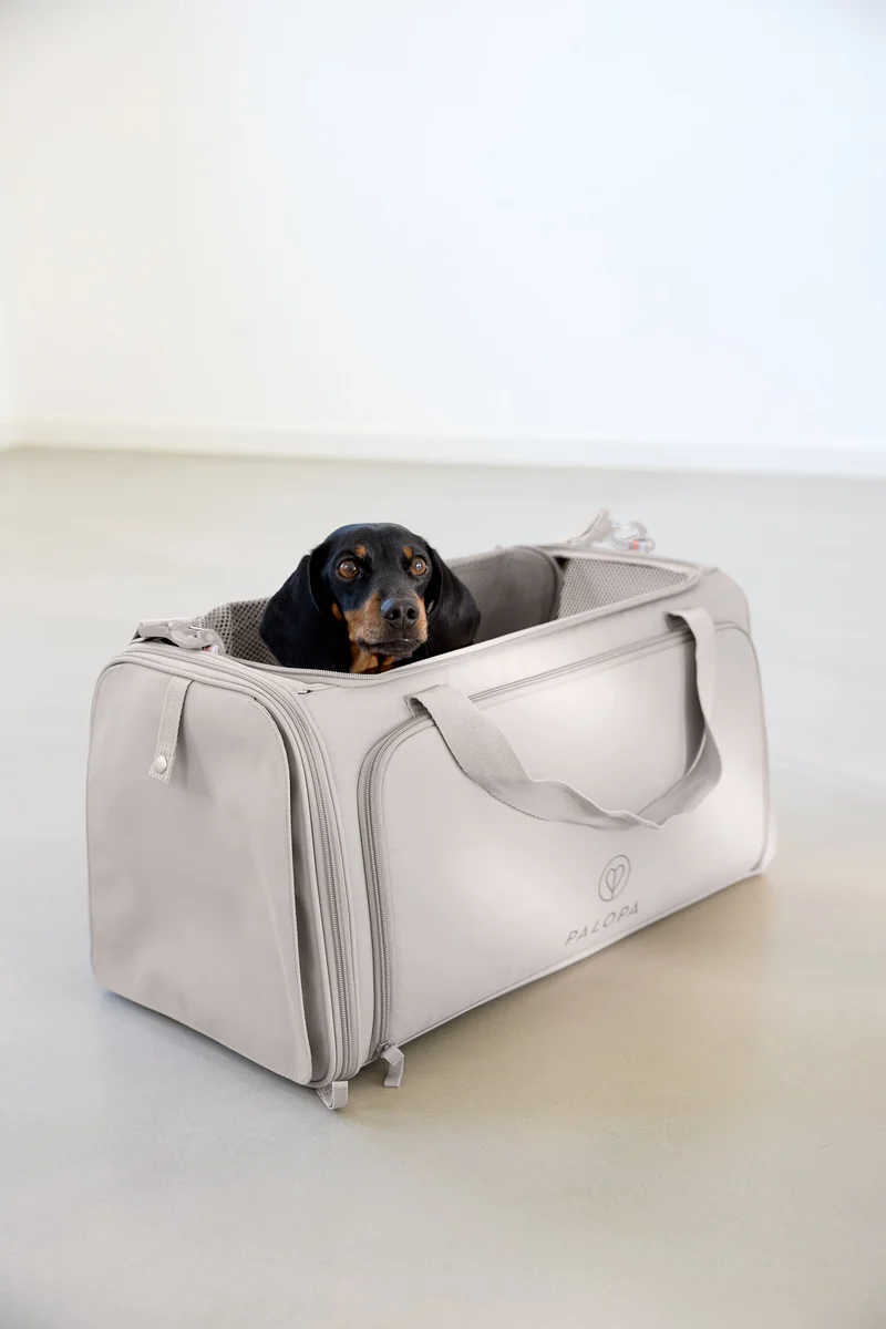 Travel Carrier Bag Benno Taupe