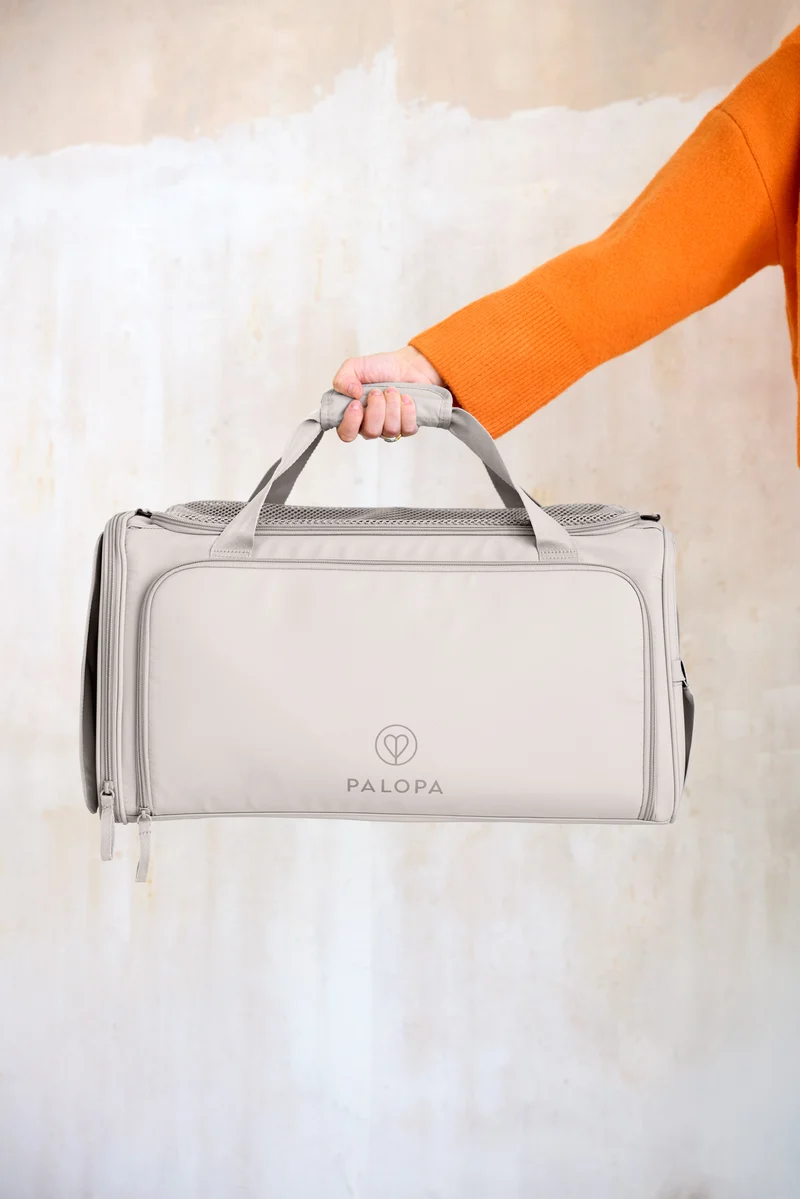 Travel Carrier Bag Benno Taupe