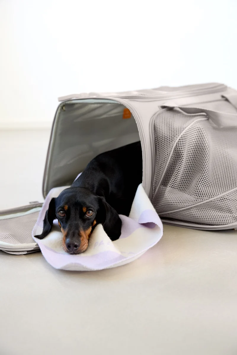 Travel Carrier Bag Benno Taupe