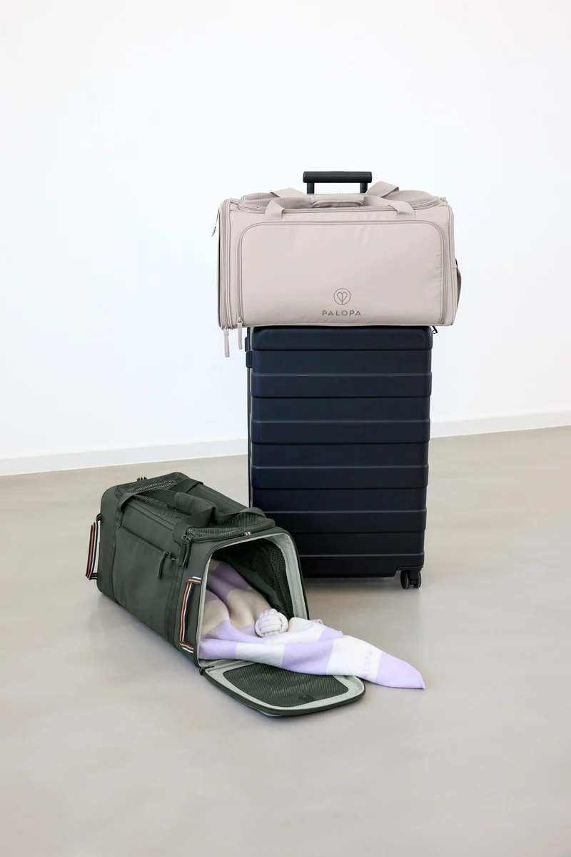 Travel Carrier Bag Benno Taupe