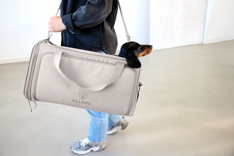 Travel Carrier Bag Benno Taupe