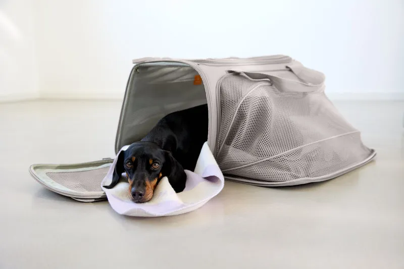 Travel Carrier Bag Benno Taupe