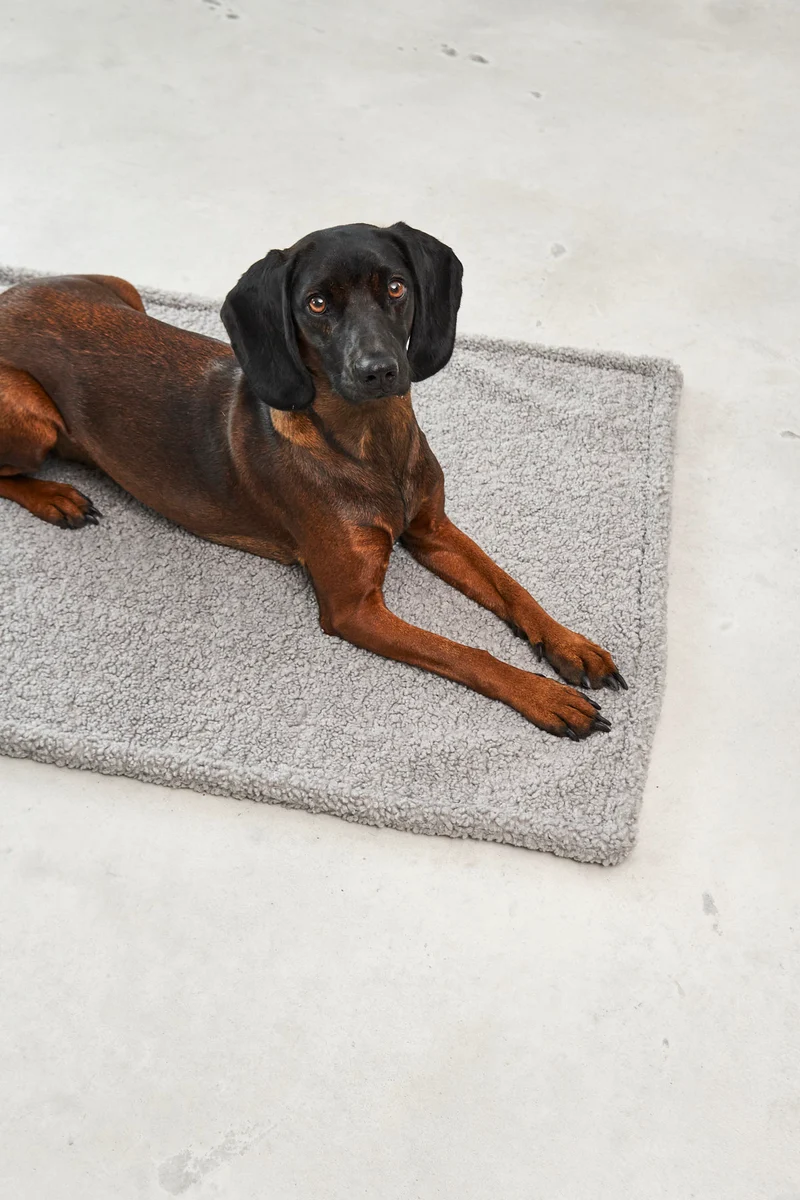 Senso Hundedecke Kiesel