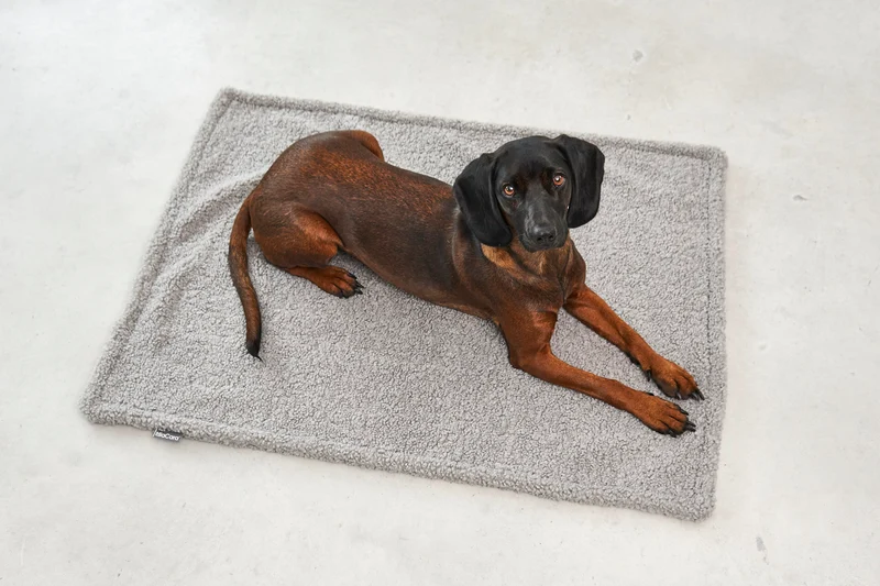 Senso Hundedecke Kiesel