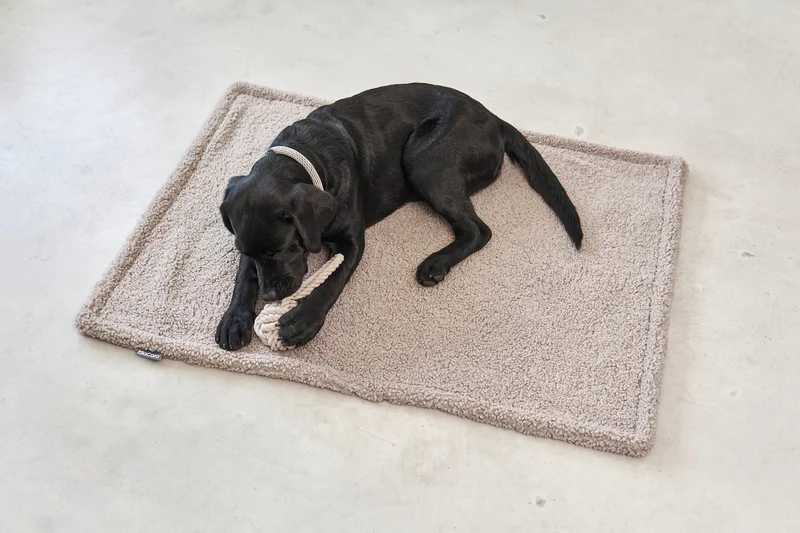 Senso Hundedecke Greige