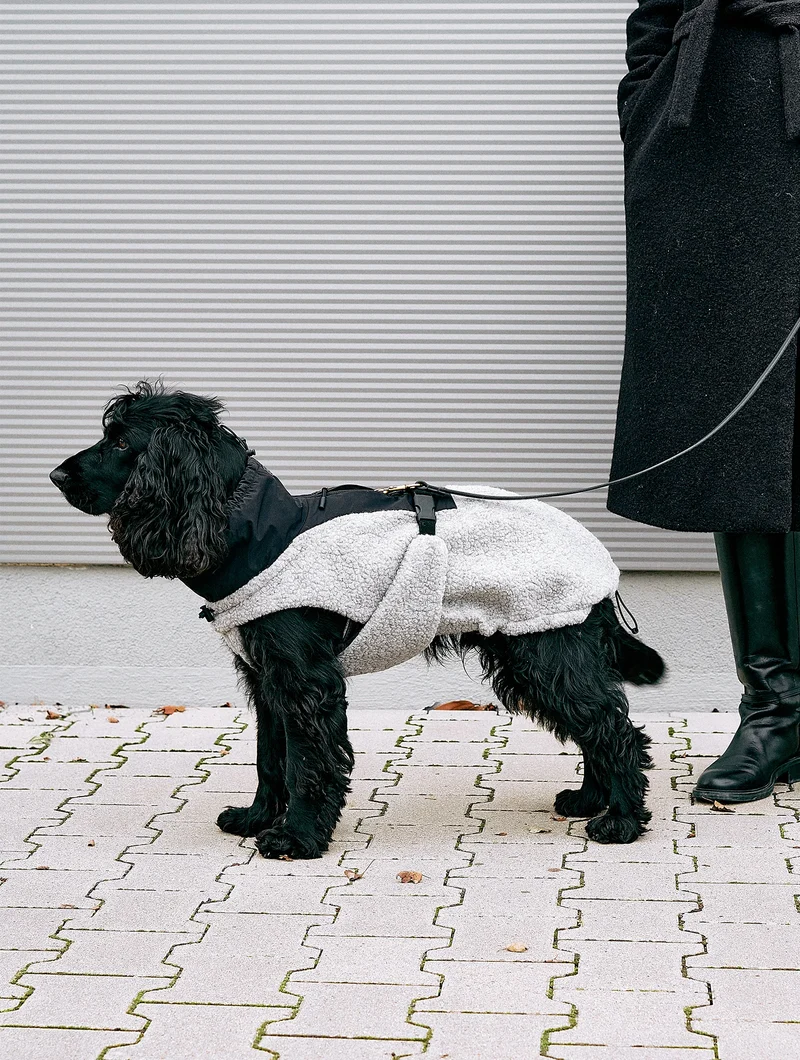 Hundemantel Emilia Kiesel - Schwarz