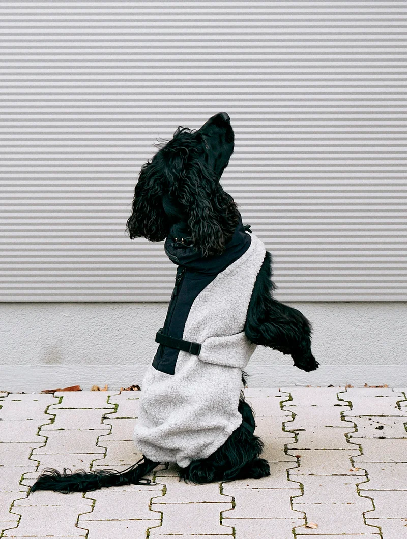 Hundemantel Emilia Kiesel - Schwarz