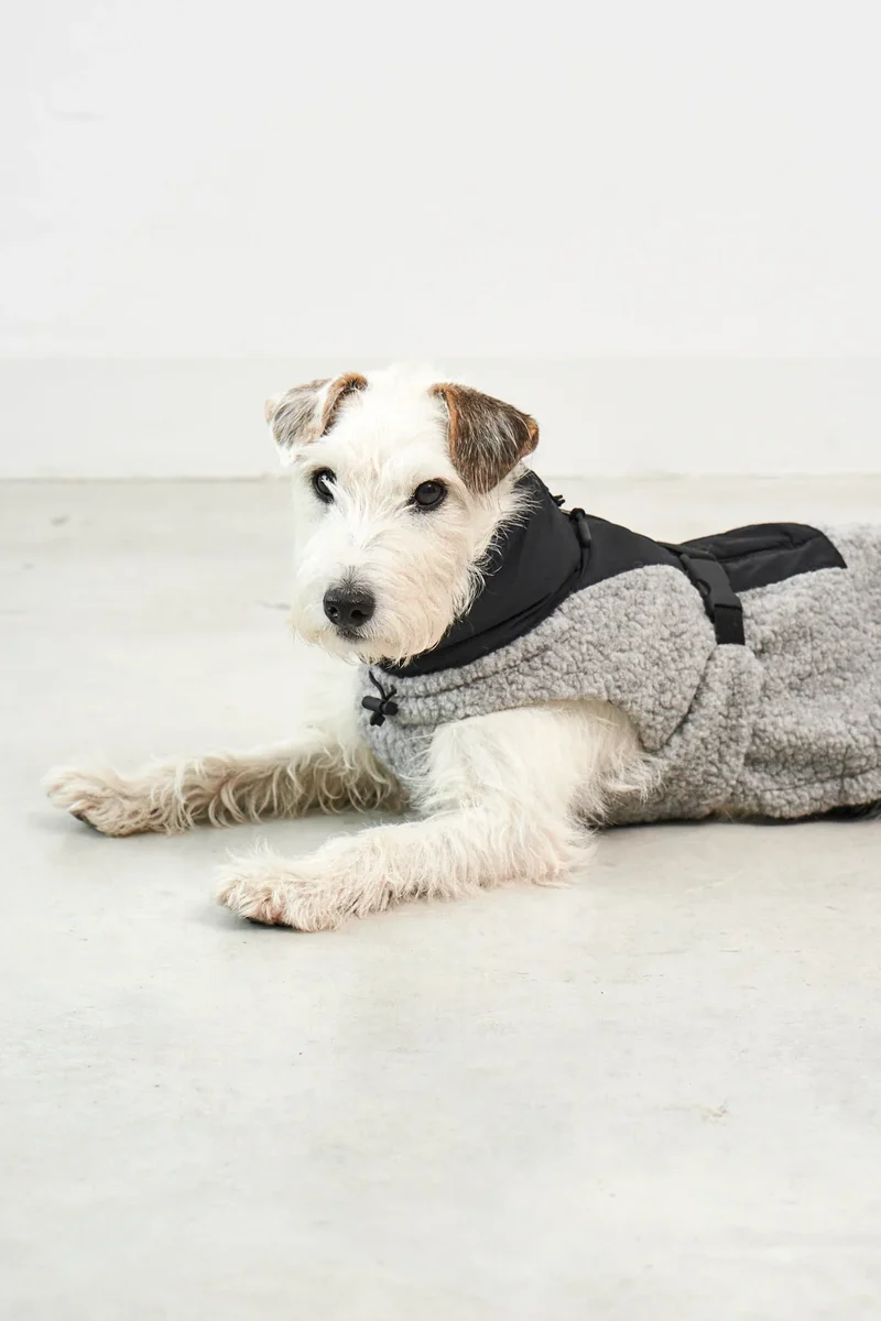 Hundemantel Emilia Kiesel - Schwarz