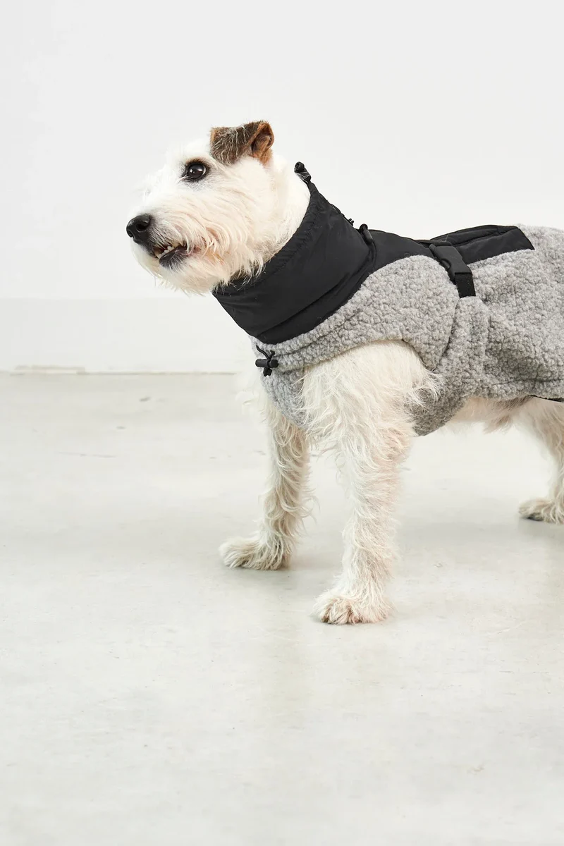 Hundemantel Emilia Kiesel - Schwarz