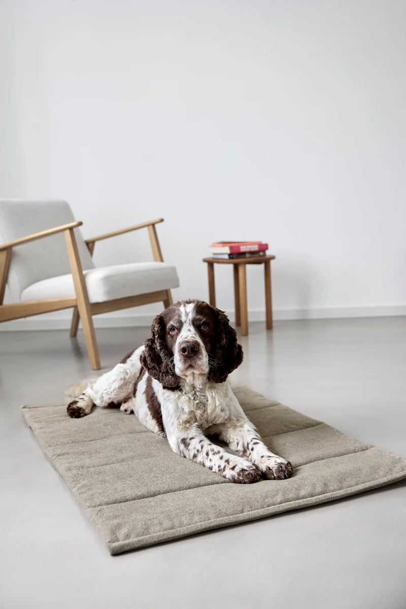 Hundematte Alma Greige