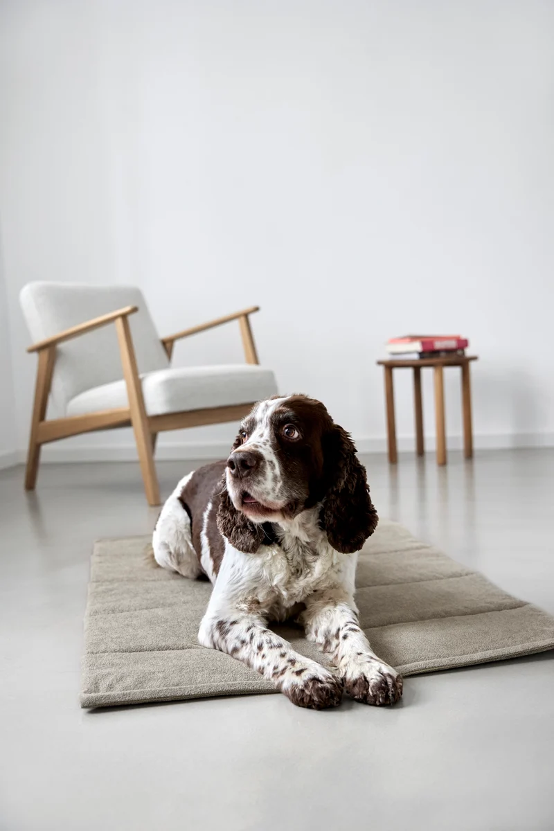 Hundematte Alma Greige